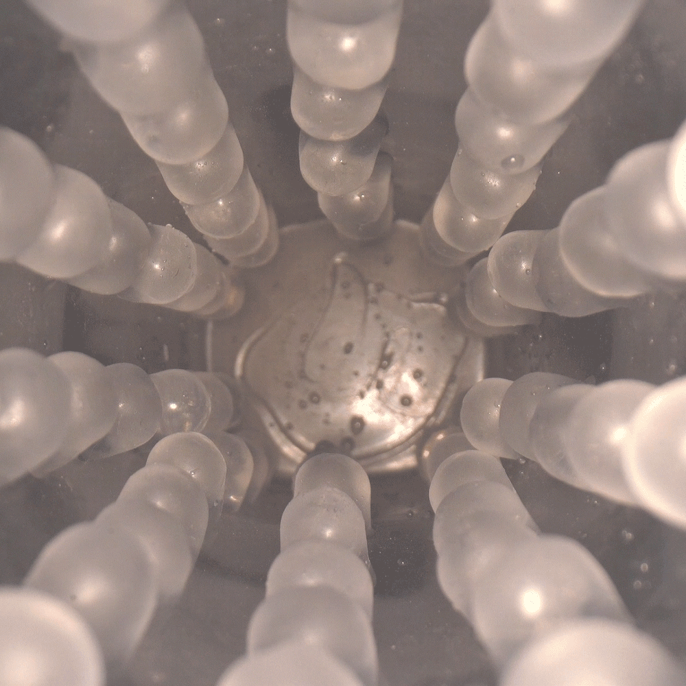 Hearteninghub ™ Automatic Rotating and Thrusting Suction Cup Masturbator