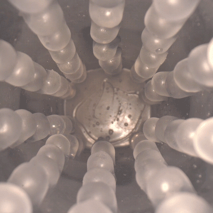 Hearteninghub ™ Automatic Rotating and Thrusting Suction Cup Masturbator